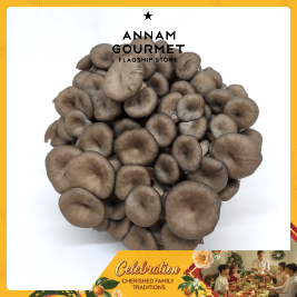 Purple Oyster Mushroom VietGAP