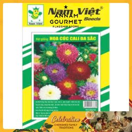 NV Seed of Chrysanthemum Cali colorful