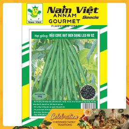 NV Seed of Common Bean Black Seed
