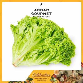 Lollo Green Organic