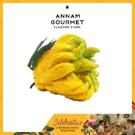 Buddha's Hand Fruit (Pcs)