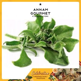 Ice Plant Salad