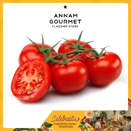 Tomato Holland 