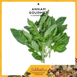 Basil Green