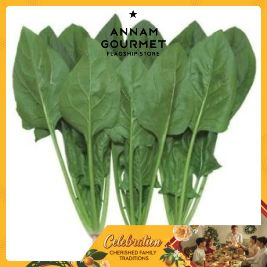 Spinach VietGAP