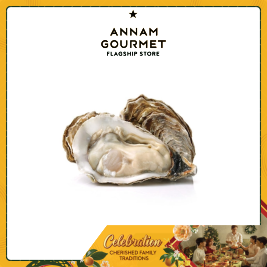 Hasubi Oyste size 13-15pcs/kg (g)