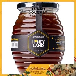 Honey Land Wild Flower Honey (500g)