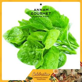 Malabar Spinach