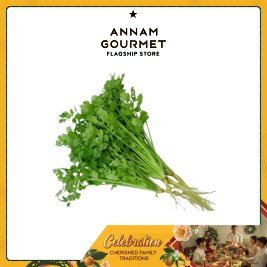 Coriander