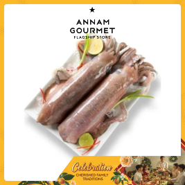 Reef Squid Fresh 300-500G Nha Trang