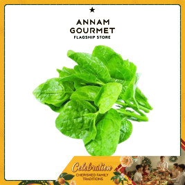 Malabar Spinach Organic