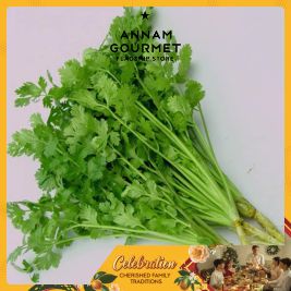 Coriander Organic