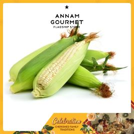 White Corn 2 units