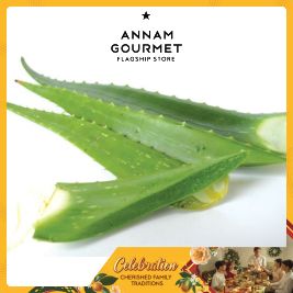 Aloe Vera Yuthfarm (g)