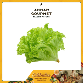 Curly Green Lettuce Organic (250g)